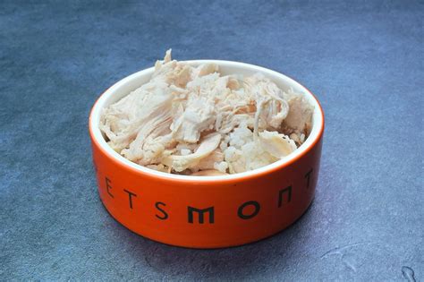 DIY Healthy Chicken and Rice for Dogs Recipe – Petsmont