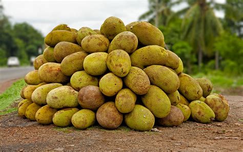 Jackfruit - Photo Blog by Rajan Parrikar