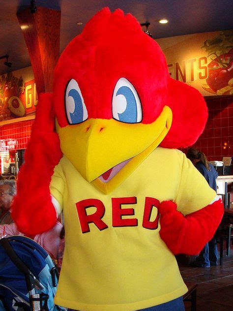 Red Robin Mascot | Red robin restaurant, Texas restaurant, Red