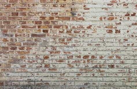 Woman Attempts DIY Brick Wall and the Result Is Such a Game-Changer - Dengarden News