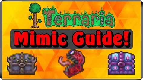 Full Mimic Guide and Drops - Terraria - YouTube