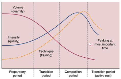 Periodization: How To Start Training