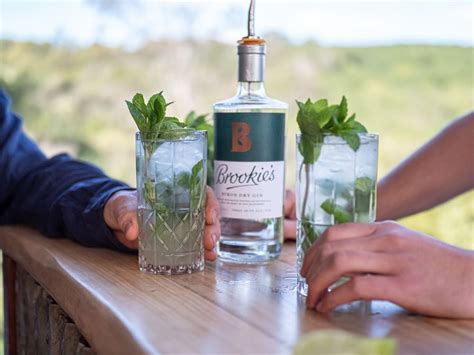 28 of the best gin brands to try from cool distilleries