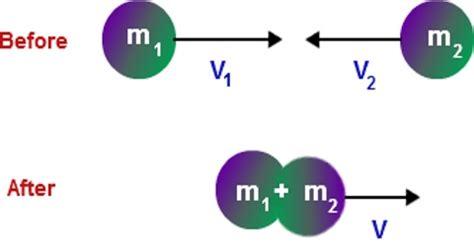 Inelastic Collision - QS Study