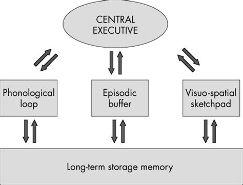 Working Memory Model (WMM) - Cognitive Psychology