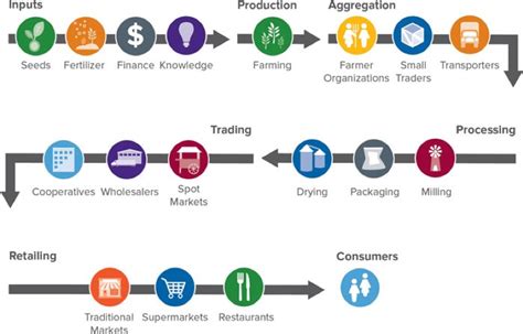 Good Food Glossary: Supply Chain vs. Value Chain