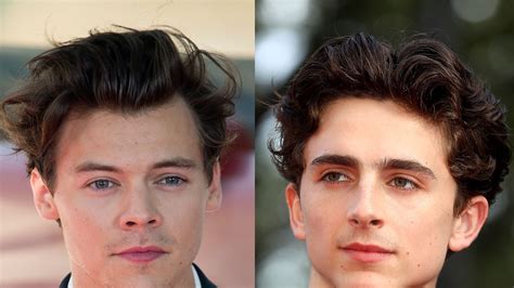 Harry Styles Interviews Timothée Chalamet To Talk Masculinity And ...