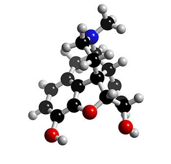 Chemical Formula & Structure - Morphine