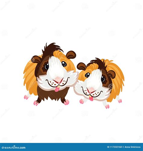 Two Funny Cartoon Guinea Pigs Clipart Illustration Vector Stock Illustration - Illustration of ...