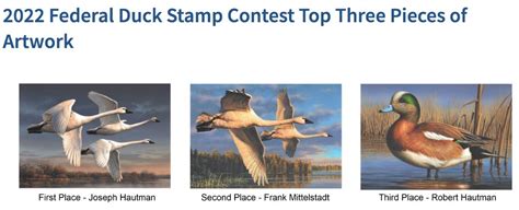 Artist Joe Hautman Wins 2022 Federal Duck Stamp… | Grand View Outdoors