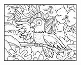 Rainforest Parrot Coloring Pages sketch template