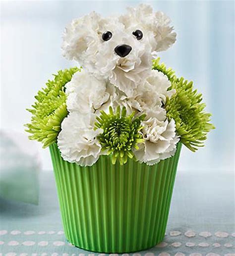 17 Beautiful Flower Arrangements For Dog Lovers