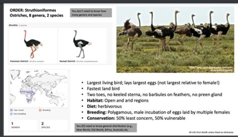 Genus Study Flashcards | Quizlet