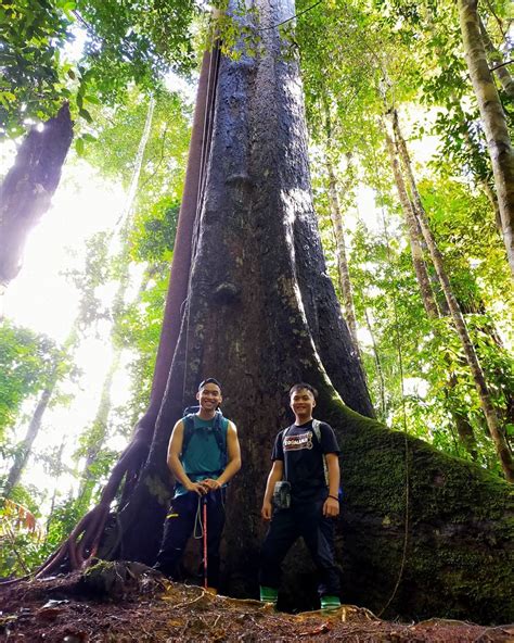 10 Mountain Hiking Trails In Sabah To Conquer, Including Mount Kinabalu