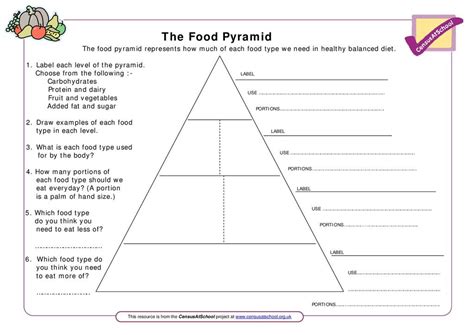 Worksheets Food Pyramid For Adults | Images and Photos finder