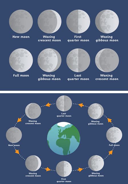 Early Learning Resources Phases of the Moon Posters