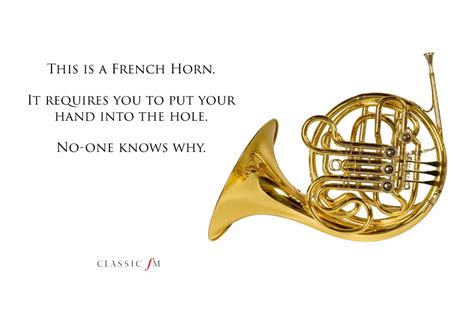 French horn - Musical instruments explained: a beginner's guide - Classic FM