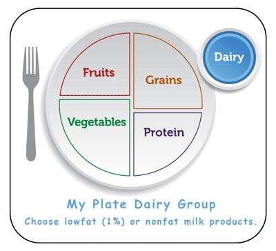 Parents Guide To Understanding What Is The Dairy Food Group