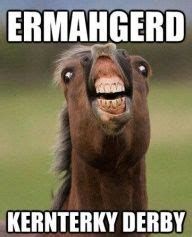 43 Ermahgerd animals ideas | ermahgerd, animals, funny animals