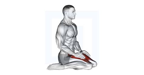 Seated Quadriceps Stretch - Guide, Benefits, and Form