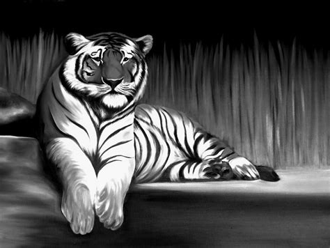 Black And White Tiger Painting by Xafira Mendonsa