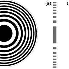 (a) Fresnel zone plate, (b) phase zone plate, and (c) phase Fresnel lens. | Download Scientific ...