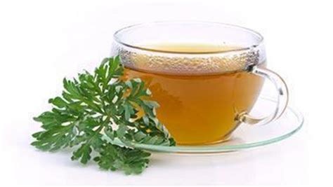 What is wormwood tea? - Nexus Newsfeed