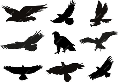 Premium Vector | Eagle silhouette graphic vector pack