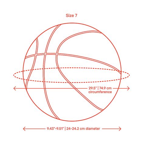 Basketball Dimensions & Drawings | Dimensions.Guide