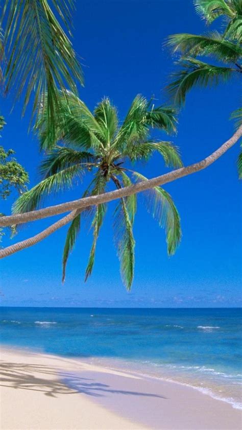 Fiji Beach Wallpapers - Top Free Fiji Beach Backgrounds - WallpaperAccess