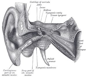 Tympanic membrane rupture - WikEM