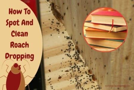 How to Safely Clean Roach Poop from Walls, Wood, Books, and Cabinets