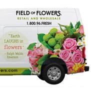 Field of Flowers - Davie, FL - Alignable