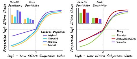 Dopamine Increases Our Sensitivity to Benefits — BrainPost | Easy-to ...