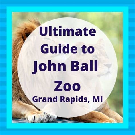 2023 Guide to the John Ball Zoo: Amazing West Michigan Zoo | My ...