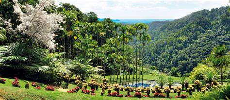 Découvrez le Jardin de Balata en Martinique - Lagon Travel