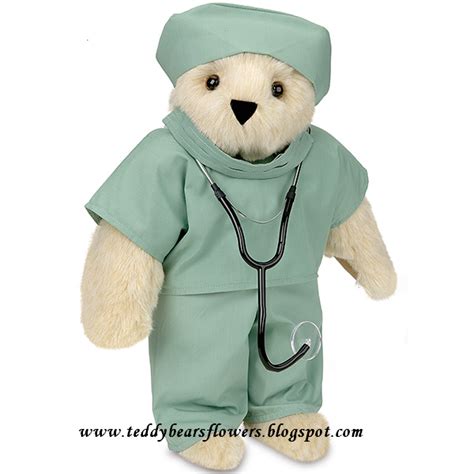 Teddy Bears Flowers: Teddy Bears Doctor