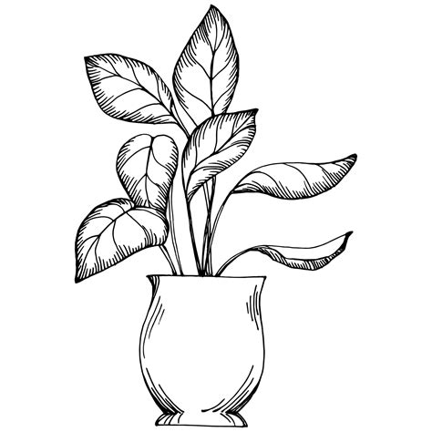 Flower Pot Drawing Pictures | Best Flower Site