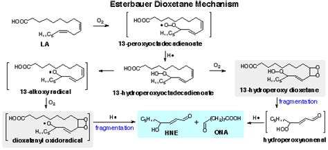 Mechanisms of Lipid Oxidation