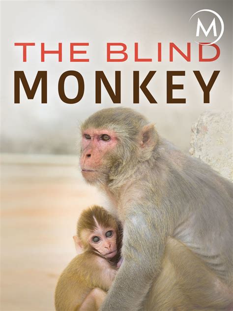 Prime Video: The Blind Monkey