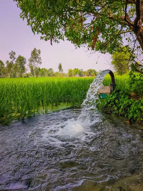 Tube Well for Irrigation in the Countryside of Punjab Stock Photo ...