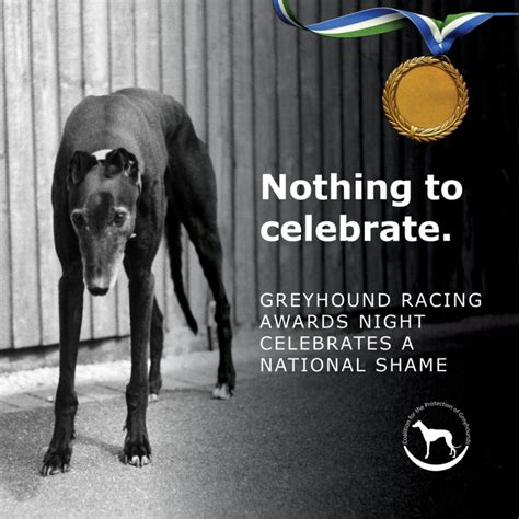 THE REAL GREYHOUND AWARDS 2022 - Coalition for the Protection of Greyhounds