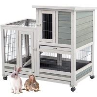 Best 6 Rabbit Hutch With Wire Floor Models Suitable Anywhere