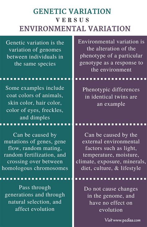 Difference Between Genetic Variation and Environmental Variation | Definition, Cause and Effect ...