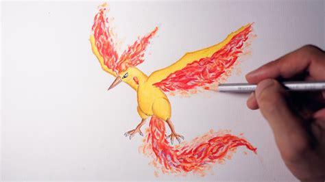 Legendary Pokemon - Moltres Drawing - YouTube