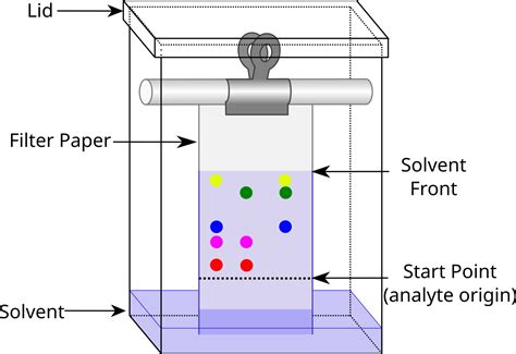 Chromatography Diagram