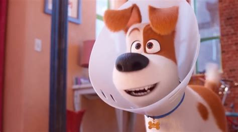 The Secret Life of Pets 2 trailer: Get ready for a joy-filled ride with these adorable pets ...