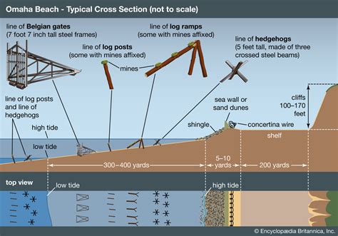 Omaha Beach Typical Cross Section and Obstacles - Normandy Invasion ...