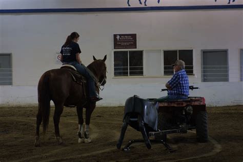 casual conversation at the team roping event. | Team roping, Equines, Horses