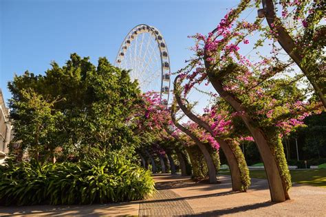 Visit Brisbane's Iconic South Bank - The Glen Hotel